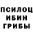 Галлюциногенные грибы Psilocybe Sekine Quliyeva