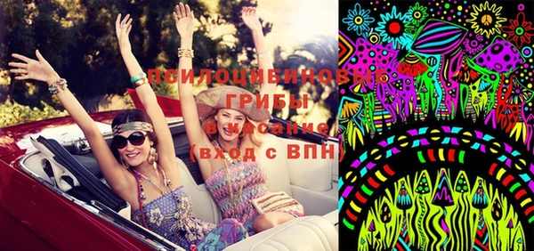 PSILOCYBIN Нязепетровск