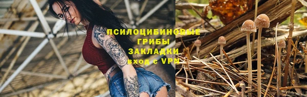 PSILOCYBIN Нязепетровск