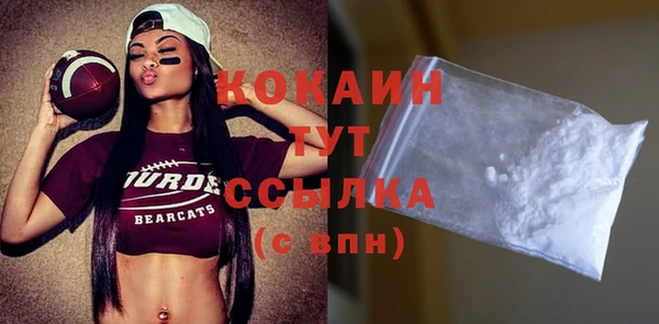 кокс Няндома