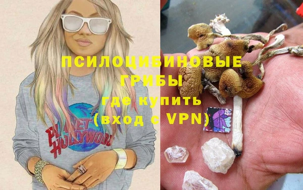 кокс Няндома