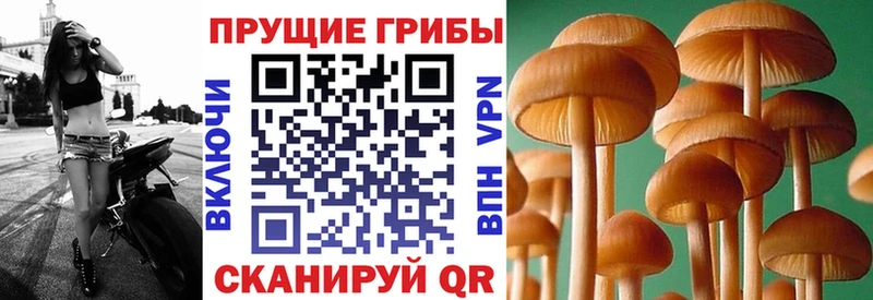 Псилоцибиновые грибы GOLDEN TEACHER  Пролетарск 