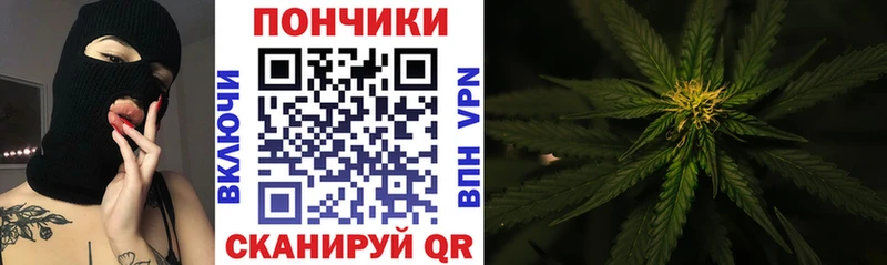 Бошки марихуана White Widow Пролетарск